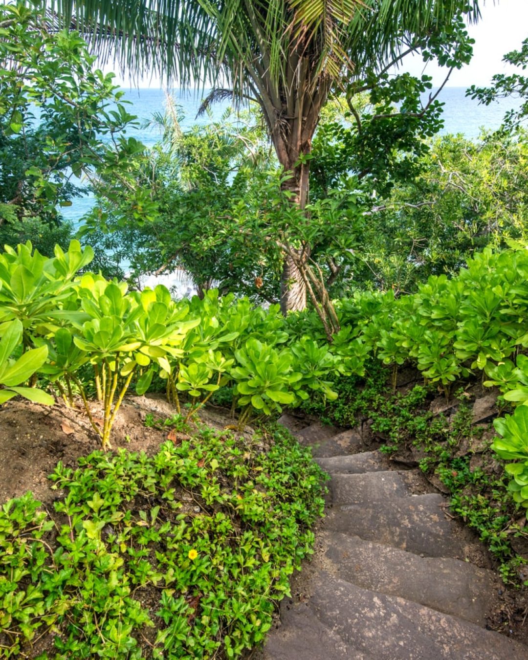 PTAMITA-jardin-1-min